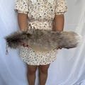 18" Big Natural Fox Tails Cosplay Costume Fox Tails Decorative Natural Fox Tails Bag Charms with Keychains Gray Halloween Cosplay Fox Tails