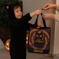 Custom Black Cat Halloween Tote Bag | Personalized Trick or Treat Candy Bag | Kids Halloween Gift | Reusable Pumpkin Tote