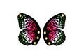 Abrosexual Pride Flag Fritillary Butterfly Shoe Wings