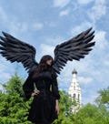 Black bendable wings for Cosplay Costume/festival wear/ /photo props/crow raven Halloween outfit/accessory