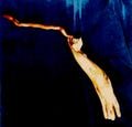 Fancy magic wand.
