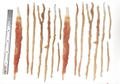 3D lifelike raised slash scars for creating a more realistic cosplay experience. Easy to apply. 14 prosthetic healed battle wounds.