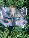Maine-Coon Cat Mask (WATERPROOF!)